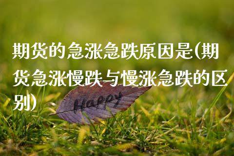 期货的急涨急跌原因是(期货急涨慢跌与慢涨急跌的区别)_https://www.xmqjcw.com_期货百科_第1张