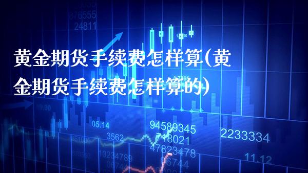 黄金期货手续费怎样算(黄金期货手续费怎样算的)_https://www.xmqjcw.com_期货投资_第1张