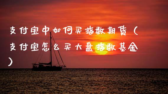 支付宝中如何买指数期货（支付宝怎么买大盘指数基金）_https://www.xmqjcw.com_期货直播室_第1张