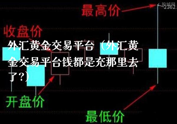 外汇黄金交易平台（外汇黄金交易平台钱都是充那里去了?）_https://www.xmqjcw.com_期货行情_第1张