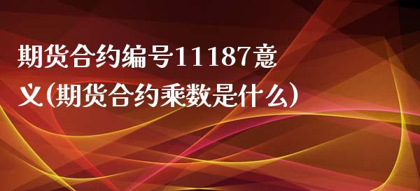 期货合约编号11187意义(期货合约乘数是什么)_https://www.xmqjcw.com_期货投资_第1张