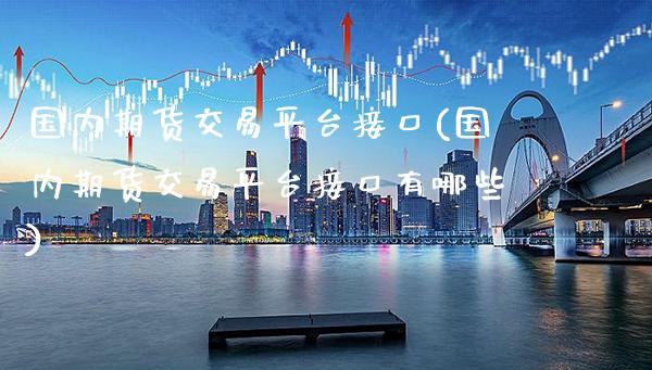 国内期货交易平台接口(国内期货交易平台接口有哪些)_https://www.xmqjcw.com_期货投资_第1张