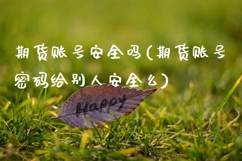 期货账号安全吗(期货账号密码给别人安全么)_https://www.xmqjcw.com_基金理财_第1张