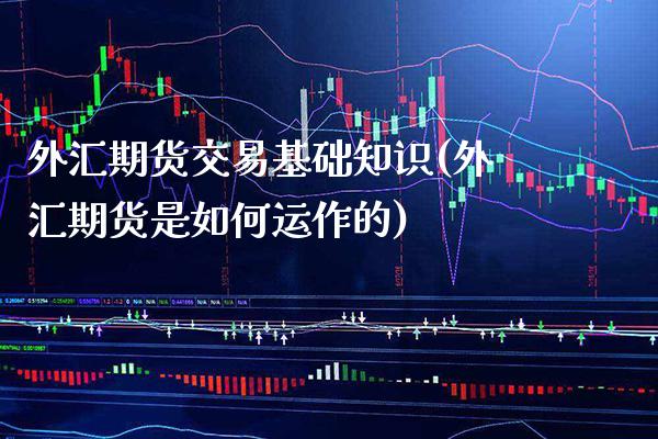 外汇期货交易基础知识(外汇期货是如何运作的)_https://www.xmqjcw.com_期货行情_第1张