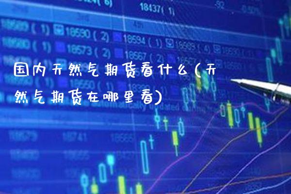国内天然气期货看什么(天然气期货在哪里看)_https://www.xmqjcw.com_期货百科_第1张