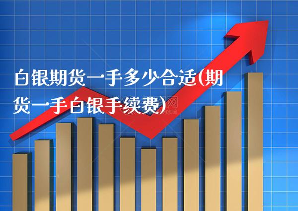 白银期货一手多少合适(期货一手白银手续费)_https://www.xmqjcw.com_期货百科_第1张
