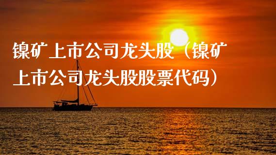 镍矿上市公司龙头股（镍矿上市公司龙头股股票代码）_https://www.xmqjcw.com_期货投资_第1张