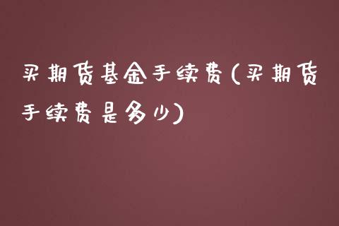 买期货基金手续费(买期货手续费是多少)_https://www.xmqjcw.com_期货百科_第1张