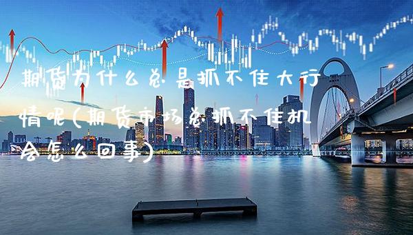 期货为什么总是抓不住大行情呢(期货市场总抓不住机会怎么回事)_https://www.xmqjcw.com_期货行情_第1张