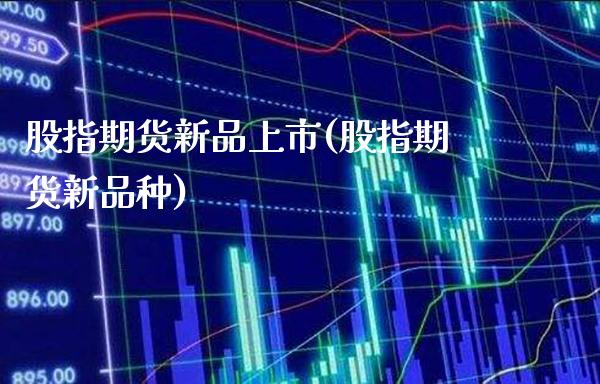 股指期货新品上市(股指期货新品种)_期货百科_第1张_秦聚理财 股指期货新品上市(股指期货新品种)_https://www.xmqjcw.com_期货百科_第1张