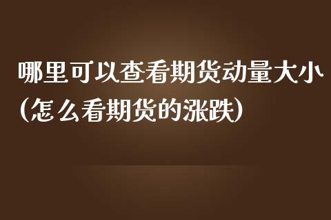 哪里可以查看期货动量大小(怎么看期货的涨跌)_https://www.xmqjcw.com_期货百科_第1张