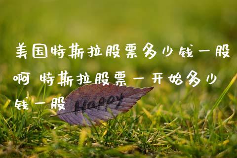 美国特斯拉股票多少钱一股啊 特斯拉股票一开始多少钱一股_https://www.xmqjcw.com_股票投资_第1张