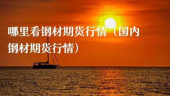 哪里看钢材期货行情（国内钢材期货行情）_https://www.xmqjcw.com_期货直播室_第1张