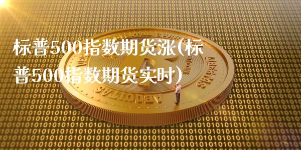 标普500指数期货涨(标普500指数期货实时)_https://www.xmqjcw.com_期货投资_第1张