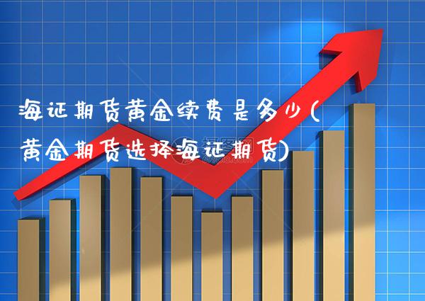 海证期货黄金续费是多少(黄金期货选择海证期货)_https://www.xmqjcw.com_期货投资_第1张
