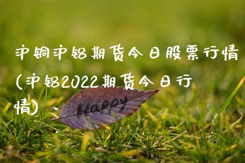 沪铜沪铝期货今日股票行情(沪铝2022期货今日行情)_https://www.xmqjcw.com_股票投资_第1张