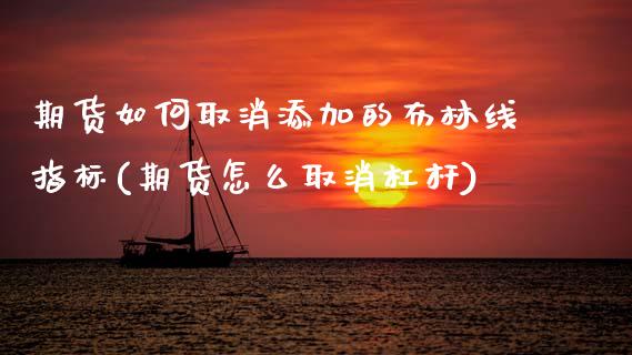 期货如何取消添加的布林线指标(期货怎么取消杠杆)_https://www.xmqjcw.com_期货百科_第1张
