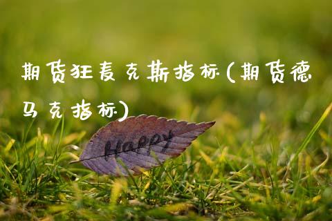 期货狂麦克斯指标(期货德马克指标)_https://www.xmqjcw.com_期货百科_第1张
