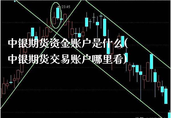 中银期货资金账户是什么(中银期货交易账户哪里看)_https://www.xmqjcw.com_期货百科_第1张