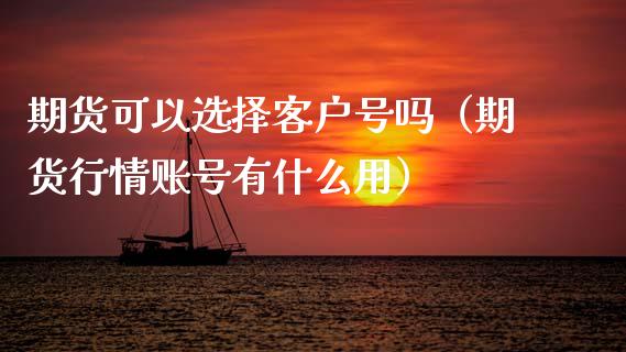 期货可以选择客户号吗（期货行情账号有什么用）_https://www.xmqjcw.com_期货投资_第1张