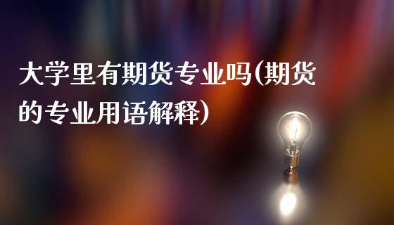 大学里有期货专业吗(期货的专业用语解释)_https://www.xmqjcw.com_期货投资_第1张