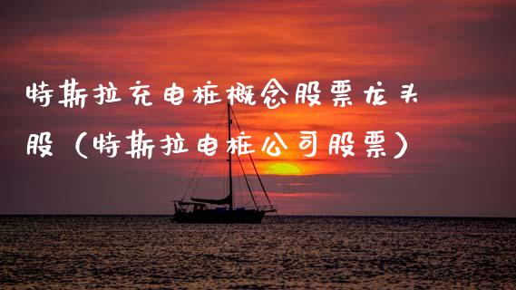 特斯拉充电桩概念股票龙头股（特斯拉电桩公司股票）_https://www.xmqjcw.com_股票投资_第1张