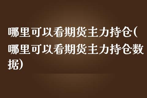 哪里可以看期货主力持仓(哪里可以看期货主力持仓数据)_https://www.xmqjcw.com_期货百科_第1张