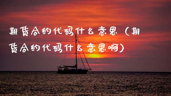 期货合约代码什么意思（期货合约代码什么意思啊）_https://www.xmqjcw.com_期货行情_第1张