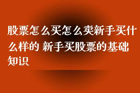 股票怎么买怎么卖新手买什么样的 新手买股票的基础知识_https://www.xmqjcw.com_股票投资_第1张