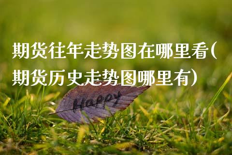 期货往年走势图在哪里看(期货历史走势图哪里有)_https://www.xmqjcw.com_期货百科_第1张
