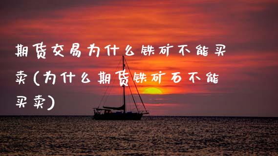 期货交易为什么铁矿不能买卖(为什么期货铁矿石不能买卖)_https://www.xmqjcw.com_股票投资_第1张