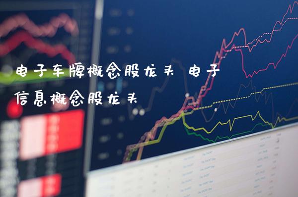 电子车牌概念股龙头 电子信息概念股龙头_https://www.xmqjcw.com_股票投资_第1张