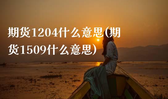 期货1204什么意思(期货1509什么意思)_https://www.xmqjcw.com_期货百科_第1张