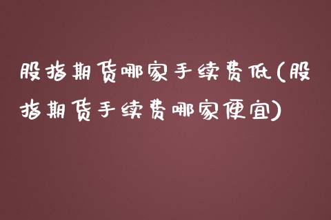 股指期货哪家手续费低(股指期货手续费哪家便宜)_https://www.xmqjcw.com_期货百科_第1张