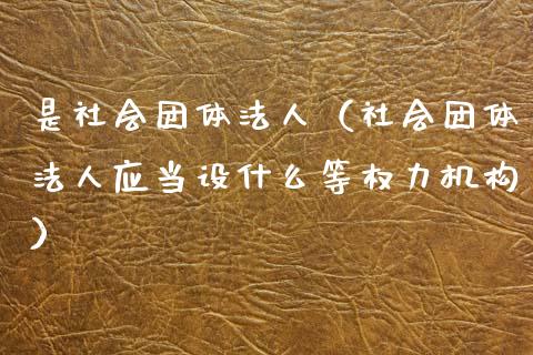 是社会团体法人（社会团体法人应当设什么等权力机构）_https://www.xmqjcw.com_期货行情_第1张