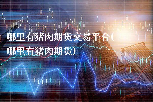 哪里有猪肉期货交易平台(哪里有猪肉期货)_https://www.xmqjcw.com_期货百科_第1张