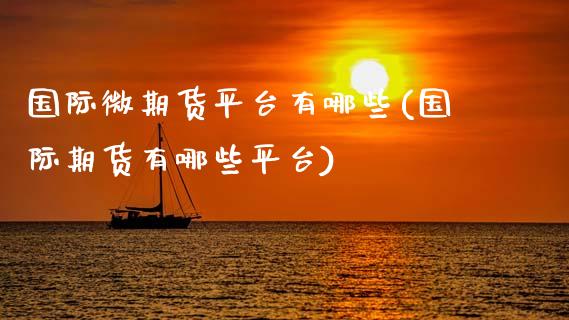 国际微期货平台有哪些(国际期货有哪些平台)_https://www.xmqjcw.com_期货百科_第1张