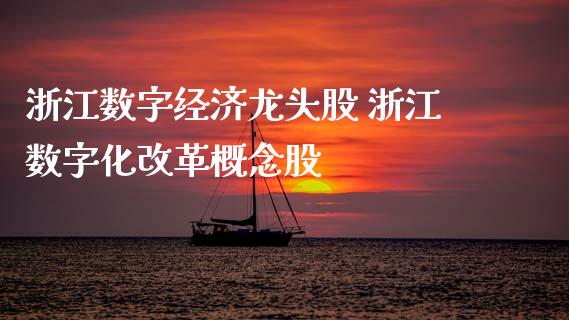 浙江数字经济龙头股 浙江数字化**概念股_https://www.xmqjcw.com_股票投资_第1张