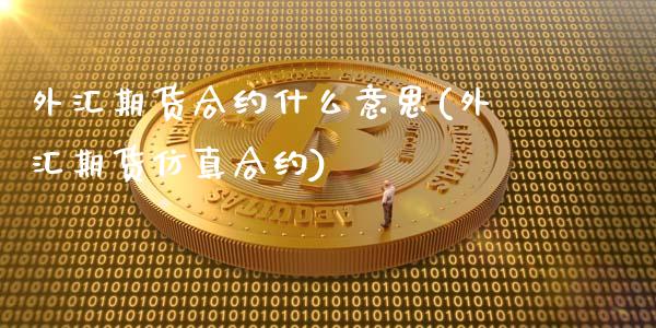 外汇期货合约什么意思(外汇期货仿真合约)_https://www.xmqjcw.com_期货百科_第1张