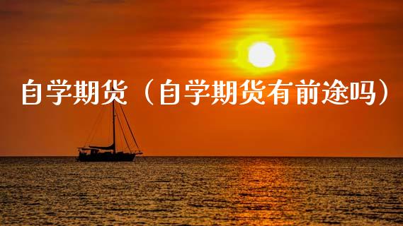 自学期货（自学期货有前途吗）_https://www.xmqjcw.com_期货投资_第1张
