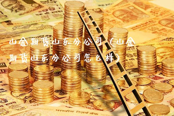 山金期货山东分公司（山金期货山东分公司怎么样）_https://www.xmqjcw.com_期货投资_第1张