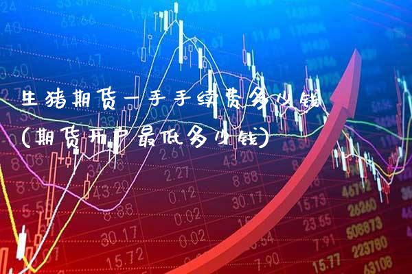 生猪期货一手手续费多少钱(期货开户最低多少钱)_https://www.xmqjcw.com_期货投资_第1张
