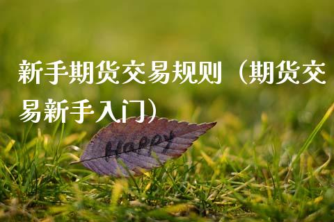 新手期货交易规则（期货交易新手入门）_https://www.xmqjcw.com_期货直播室_第1张
