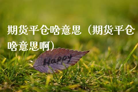 期货平仓啥意思（期货平仓啥意思啊）_https://www.xmqjcw.com_期货行情_第1张