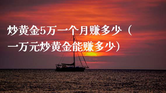 炒黄金5万一个月赚多少（一万元炒黄金能赚多少）_https://www.xmqjcw.com_期货投资_第1张
