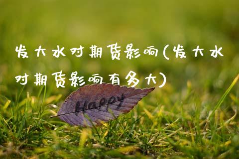 发大水对期货影响(发大水对期货影响有多大)_https://www.xmqjcw.com_期货百科_第1张