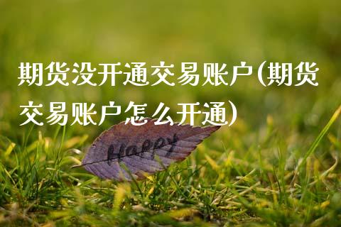 期货没开通交易账户(期货交易账户怎么开通)_https://www.xmqjcw.com_期货百科_第1张