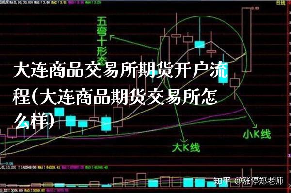大连商品交易所期货开户流程(大连商品期货交易所怎么样)_https://www.xmqjcw.com_期货百科_第1张