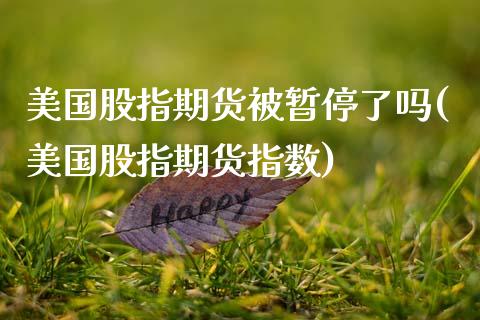 美国股指期货被暂停了吗(美国股指期货指数)_https://www.xmqjcw.com_期货开户_第1张