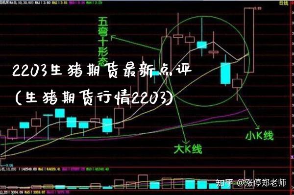 2203生猪期货最新点评(生猪期货行情2203)_https://www.xmqjcw.com_期货百科_第1张